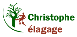 elagage-christophe-elagage